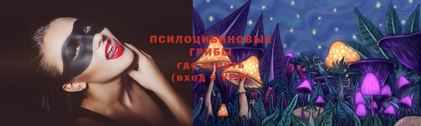 МДПВ Нязепетровск