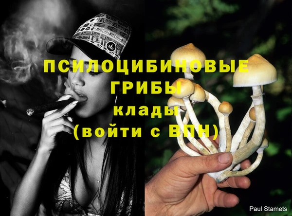 мет Осташков