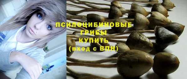 стаф Нягань