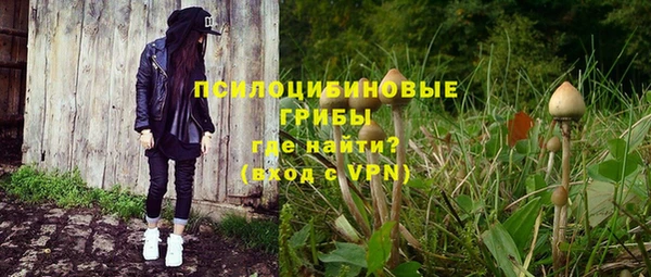 стаф Нягань